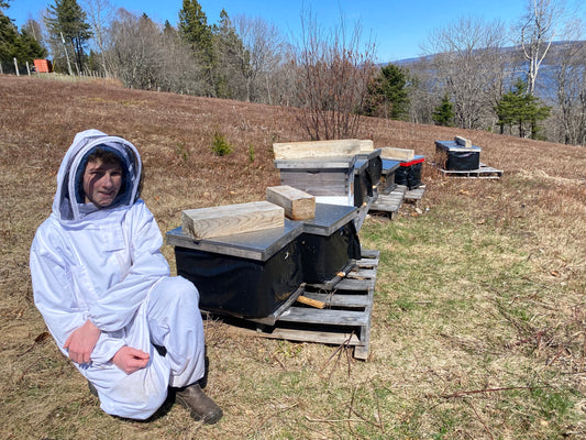 Adopt A Hive